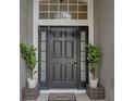 Inviting front entrance with a black front door, sidelights, transom window and decorative plants at 2407 Oakington St, Winter Garden, FL 34787