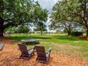 Spacious backyard with mature trees, playground, and plenty of room to relax at 11335 Winston Willow Ct, Windermere, FL 34786