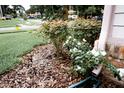 Close-up of decorative landscaping with wood chips and flourishing shrubbery near the exterior of the home at 1100 Oday Dr, Winter Springs, FL 32708