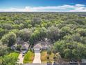 Aerial view of a neighborhood with lush green trees and single-story homes at 185 Poinciana Ln, Deltona, FL 32738