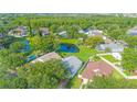 Beautiful aerial view showcases homes nestled amidst verdant trees near a serene pond at 13434 Mallard Cove Blvd, Orlando, FL 32837
