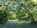 Scenic street view with mature trees providing shade and creating a serene environment in the community at 112 Crown Oaks Way # 112, Longwood, FL 32779