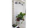 White garage door adorned with decorative windows and a vibrant potted plant arrangement at 3700 Plantation Blvd, Leesburg, FL 34748