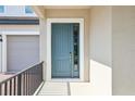 Stylish front door with glass accents and black hardware at 5242 Citrus Leaf, Winter Garden, FL 34787