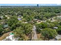 Aerial view of a property surrounded by lush greenery and mature trees, indicating a private and peaceful setting at 356 Oakhurst St, Altamonte Springs, FL 32701
