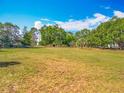 Expansive backyard with lush green grass, mature trees, and plenty of open space perfect for recreation and relaxation at 38241 County Road 439, Eustis, FL 32736