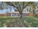 Well maintained lawn features a large tree at 4201 Chantelle Rd, Orlando, FL 32808