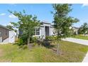 Well landscaped front yard with lush green grass and trees adding curb appeal to the house at 3341 Lounging Wren Ln, Bartow, FL 33830