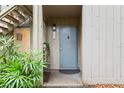 Welcoming entrance with a blue door, lush plants, and natural light creating a warm and inviting ambiance at 111 Crown Oaks Way # 101, Longwood, FL 32779