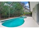 Inviting screened-in pool area with lush landscaping, perfect for relaxation and enjoying the outdoors at 2906 Sunset Vista Ct, Kissimmee, FL 34747