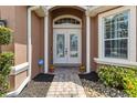 Elegant double front doors with decorative glass inserts, complemented by potted flowers and landscaped walkway at 453 Kays Landing Dr, Sanford, FL 32771