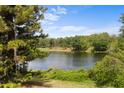Scenic lake view framed by lush greenery and mature trees under a blue sky at 4561 Heritage Oak Dr, Orlando, FL 32808