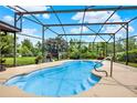 Sparkling in-ground pool enclosed in a screened patio, perfect for relaxation and outdoor enjoyment at 28136 Tammi Dr, Tavares, FL 32778