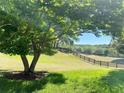 Picturesque backyard view with lush greenery and a classic wooden fence, perfect for outdoor enjoyment at 30732 Lipizzan Ter, Mount Dora, FL 32757
