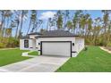 Modern single-Gathering home with a two-car garage, well-manicured lawn and green grass at 4364 Sw 172Nd Street Rd, Ocala, FL 34473