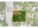 Overhead shot of the parcel showcasing its boundaries and location in a leafy neighborhood setting at 2312 Corrine Dr, Orlando, FL 32803