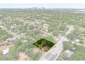 Aerial view of a house on a tree-lined street near downtown with a spacious yard and ample greenery at 2312 Corrine Dr, Orlando, FL 32803