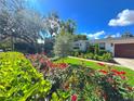 Landscaped front yard with vibrant roses and lush green foliage at 446 Piney Croft Ln, Maitland, FL 32751