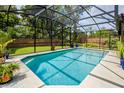 Enclosed screened in-ground pool surrounded by lush greenery and potted plants for serene outdoor experience at 502 Oak Ln, Maitland, FL 32751