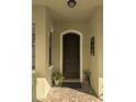 Charming home entrance featuring a decorative front door with an adjacent potted plant display on a brick-paved entryway at 9104 Stromboli Ct, Kissimmee, FL 34747