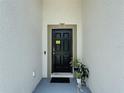 Welcoming front entrance with a sleek black door, decorative plants, and neutral wall accents at 1061 Suffragatte Cir, Haines City, FL 33844