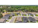 Aerial view of neighborhood featuring single Gathering homes on a tree-lined street and picturesque landscape at 7054 Cruz Ct, Lakeland, FL 33813