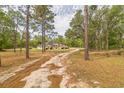 Long driveway leading to a well-maintained home surrounded by mature trees at 13780 Sw 78Th Pl, Dunnellon, FL 34432