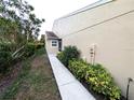 View of the side yard featuring a walkway, lush landscaping, and the exterior of the home at 2299 Hawks Cove Cir, New Smyrna Beach, FL 32168