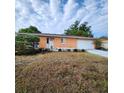Exterior shot of an orange house with a white door, garage, and lots of potted plants lining the walkway at 4840 Judy Ann Ct, Orlando, FL 32808