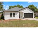 Picture of a charming single-story house with a tidy lawn and two-car garage at 1552 Whooping Dr, Groveland, FL 34736