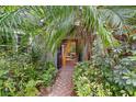 Lush front entrance with tropical landscaping leads to a welcoming doorway at 4107 Gabriella Ln, Winter Park, FL 32792