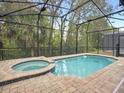 Inviting screened-in pool and spa area, perfect for relaxation and entertaining, surrounded by lush greenery at 8943 Coconut Breeze Dr, Kissimmee, FL 34747