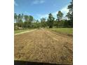 An expansive backyard with newly laid sod and plenty of space for outdoor activities at 13265 Sw 85Th Cir, Ocala, FL 34473