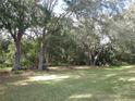 View of the home's large backyard with mature trees, offering a private and peaceful setting at 11540 Sandy Hill Dr, Orlando, FL 32821