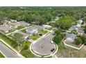 Aerial view of a residential neighborhood featuring well-manicured lawns, mature trees, and various home styles, in a suburban setting at 171 Stanley Bell Dr, Mount Dora, FL 32757