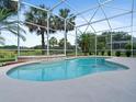 Inviting screened-in pool with a spa feature, surrounded by lush landscaping and a serene atmosphere at 3840 Caledonia Ave, Apopka, FL 32712