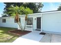Welcoming front entrance of a light blue home with a dark door, palm trees, and gray walkway leading to the entrance at 707 N Solandra Dr, Orlando, FL 32807