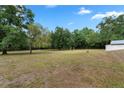 Expansive backyard features mature trees and ample space for recreation at 10059 Sali Dr, Orlando, FL 32817