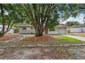 Charming single-story home with gray exterior, mature shade tree, and front yard at 384 Zinnia Dr, Casselberry, FL 32707