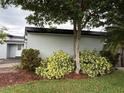 Landscaped side yard, highlighting green grass and mature trees, offering an appealing outdoor space at 6615 Beamer Way, Orlando, FL 32807