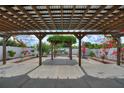 Backyard pergola with concrete patio and manicured landscaping at 372 Willet St, Haines City, FL 33844
