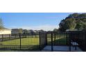 Fully enclosed, well-maintained community dog park with lush grass and secure fencing for residents' pets at 4062 Serene Water Ave, Eustis, FL 32736