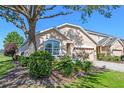 Landscaped front yard featuring lush greenery and shade from a mature tree at 23820 Sardinia Dr, Sorrento, FL 32776