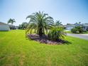 Lush front yard featuring vibrant green grass, a mature palm tree, and well-manicured landscaping at 2167 Kerwood Loop, The Villages, FL 32162