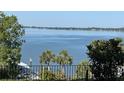 Scenic lake view with palm trees and a wrought iron fence in the foreground at 629 Helen St, Mount Dora, FL 32757