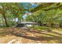 Inviting single-story home with mature trees, a well-kept lawn, and a convenient carport at 12046 Se 135Th Ave, Ocklawaha, FL 32179