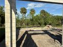 Image of backyard view of construction featuring a frame, sandy lot and greenery, and tropical trees in the distance at 1153 Basalt Ln, Sanford, FL 32771