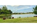 Scenic lake view surrounded by manicured lawn and mature trees and landscaping at 634 Via Corso Ct, Kissimmee, FL 34759