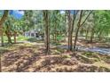Home exterior with mature trees and foliage on a sunny day, featuring a charming front lawn at 16758 Ne 135Th Ave, Fort Mc Coy, FL 32134