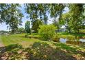 Picturesque backyard view featuring lush green grass and mature trees along a tranquil stream at 1748 Harvest Cv, Winter Park, FL 32792